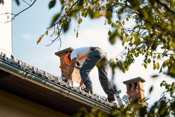Best Slate Roofing Contractor  in Demorest, GA