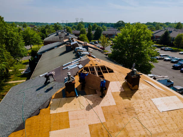 Best Storm Damage Roof Repair  in Demorest, GA