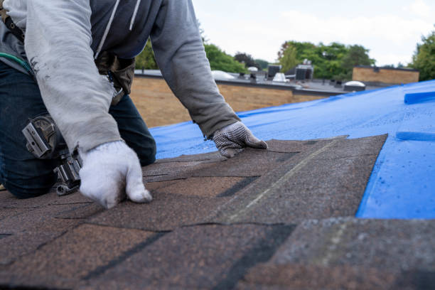 Gutter Installation and Roofing in Demorest, GA