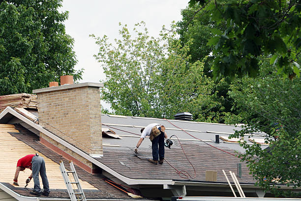 Best Roof Repair Services  in Demorest, GA