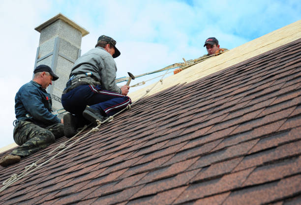 Best Gutter Installation and Roofing  in Demorest, GA